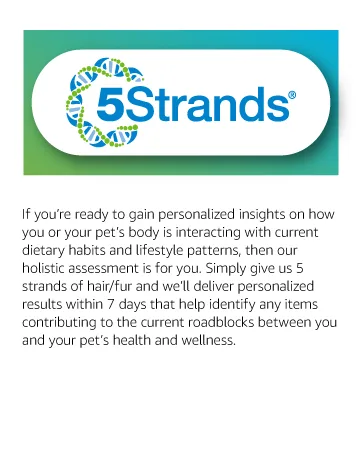 5Strands Environmental Intolerance Test  190 Outdoor & Indoor Items Tested  at Home Sensitivity Test  Accurate Hair Analysis  Results in 7 Days - 5Strands