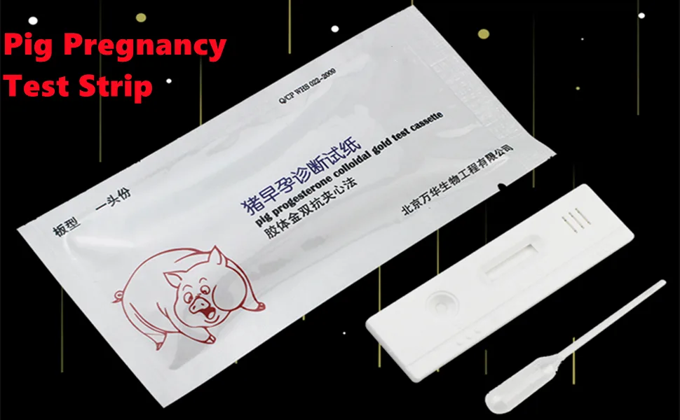 Pregnancy Test Strip  Pregnancy Test Accurate Detection Rapid 10Pcs Digital Pregnancy Tests Early Pregnancy Diagnosis Tool for Pig - B09H3Q1VRX ?