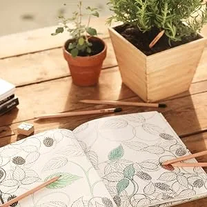 Sprout Waterproof Browliner | Vegan Formula | Plantable Browliner Pencil with Wildflower Seeds | Eco-Friendly Sustainable Makeup Gift | Brown - kids