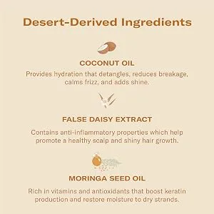 DAE Conditioner - Hydrates & Protects Hair  Calms Frizzy Hair & Locks in Moisture (10 oz) - Conditioner Ingredients