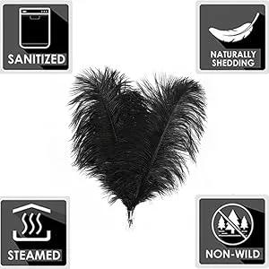 Larryhot White Large Ostrich Feathers - 16-18 inch 10pcs Feathers for Vase Wedding Party Centerpieces and Home Decorations (White) - feathers crafts