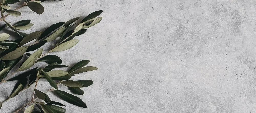 Oliver and Sage Silicone Baby Teether | Rattle For Babies | Teething Toy |Teething Relief Mango - olive leaves on a marble background