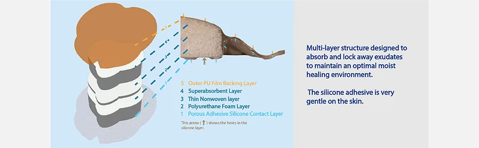 Areza Sacral Dressing 10 Per Box Ultra-Absorbent Silicone Foam with Adhesive Border and Flaps 7.2 x 7.8 Sterile 7.2 x 7.8 Inch - Areza Sacral Dressing 10 Per Box Ultra-Absorbent Silicone Foam