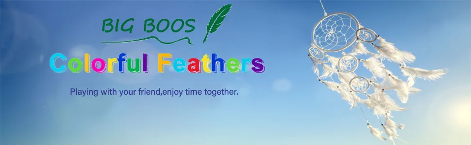 White Feathers for Crafts Dreamcatcher Fringe Trim Colored Feathers (100pcs White) - colorful feathers