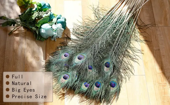 Soarer Long Peacock Feathers Bulk- 25pcs 32-35 inches Feathers for Vase  Holiday Decoration and DIY Crafts - product information 21