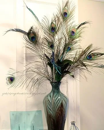 Soarer Long Peacock Feathers Bulk- 25pcs 32-35 inches Feathers for Vase  Holiday Decoration and DIY Crafts - Long Peacock Feathers