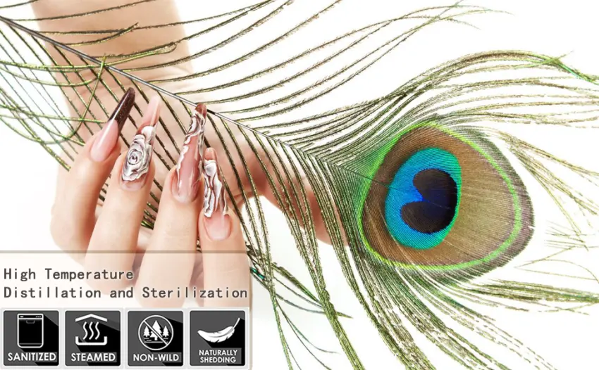 Soarer Long Peacock Feathers Bulk- 25pcs 32-35 inches Feathers for Vase  Holiday Decoration and DIY Crafts - peacock feathers bulk