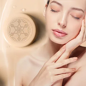 NUIBO Air Cushion CC Cream Foundation Moisturizing Long Lasting Matte Concealer Light Weight Smoothly Water Proof Makeup Base Liquid Foundation with 2PCS Mushroom Head Ivory/Unscrew Lid  - CC-CREAM-3
