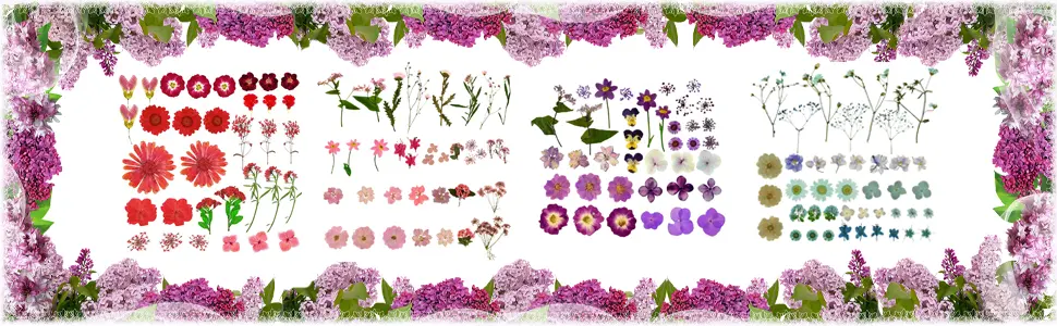 Natural Dried Flowers Mixed Multi-Color Pressed Flower Mini Rose Hydrangea Daisy for Art Craft DIY Resin Nail Art Floral Decors (Yellow) - tigle2