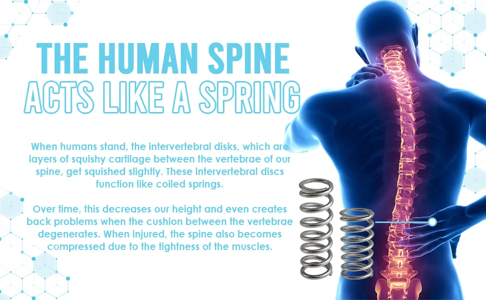 JJ CARE Spinal Decompression Harness  Hanging Upside down Back Stretcher for Lower Pain Relief  Back Traction & Spine Decompression of Bulging  Degenerative and Herniated Disc. - spinal decompression harness, traction device, lumbar traction