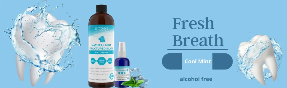 Structured Colloidal Silver Mouthwash Mint Flavor - All Natural Mouthwash with 10ppm Structured Silver for Bad Breath 16 oz - bad breath fresh mouth kills bacteria eliminate odour mint alcohol free
