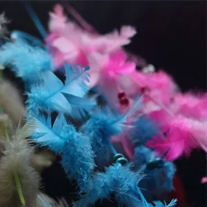 100pcs 4-6 Black Feathers for Crafts and Dreamcatcher Making  Fringe Trim and DIY Projects  Colored Feathers Material black 100Pcs - product information 6