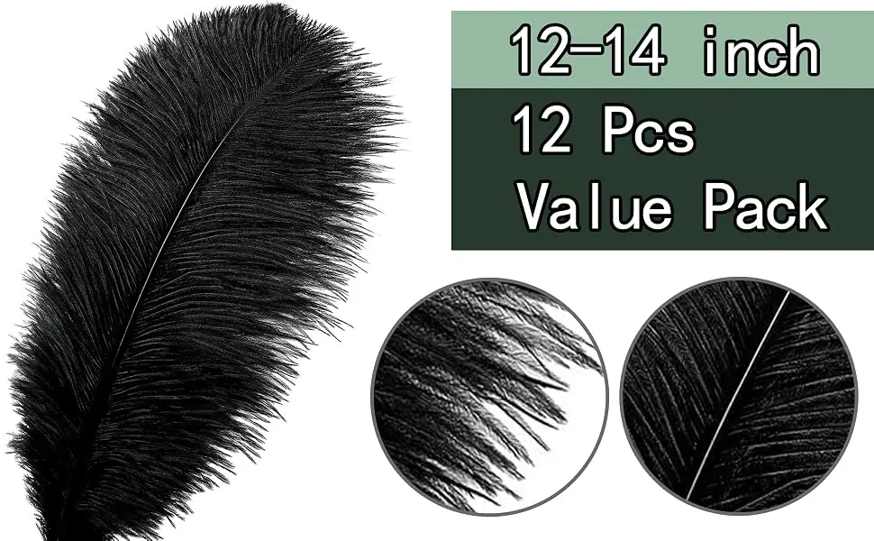 Ballinger Champagne Ostrich Feathers Bulk - 12Pcs 12-14inch Large Boho Feathers for Vase Wedding Party Centerpieces Home and Pampas Grass Decor - good value