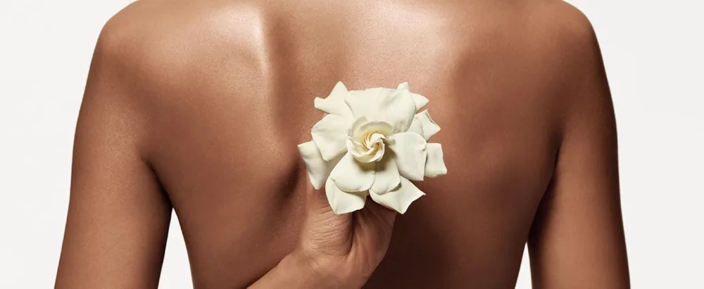 Body Lotion  6.7 Fl. Oz. - Moroccan Jasmine