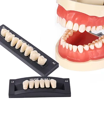 Dental Acrylic Resin Denture False Teeth A3  T6 Synthetic Polymer Resin Fake Teeth for Replacement  Halloween  DIY (28 Pcs/Set) T6  1 Set A3 - resin