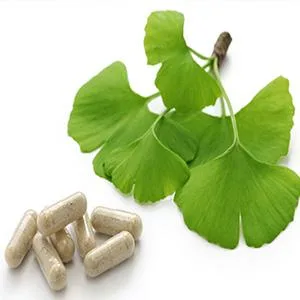 Doctor's Best Extra Strength Ginkgo - 120 Veggie Caps - product information 1