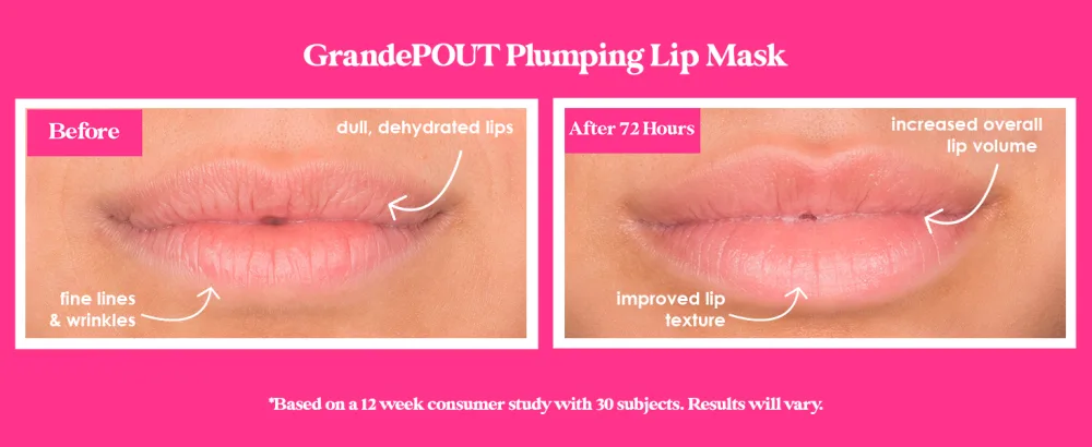Grande Cosmetics Lip-Luggage Set - Pout BA Desktop