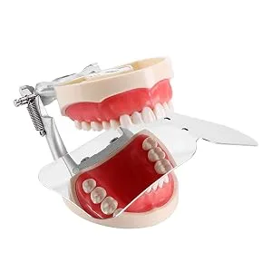COSPNT Photography Mirror Orthodontic Intra-Oral Clinic Stainless Steel - product information 4