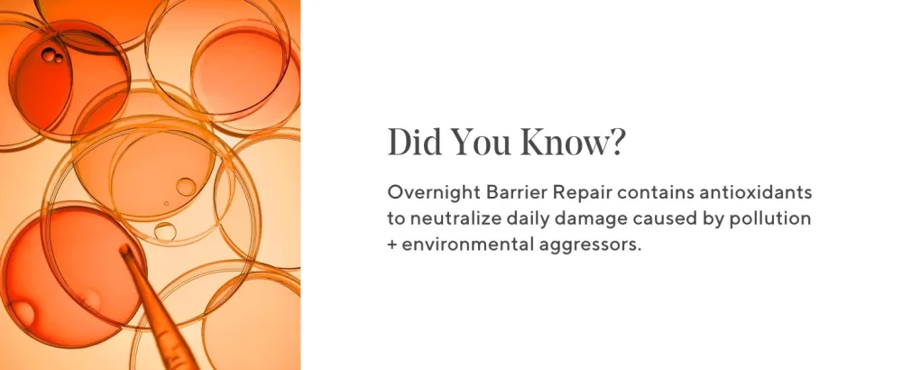 Murad Essential-C Overnight Barrier Repair Cream - Environmental Shield Vitamin C Moisturizer - Helps Neutralize Pollutants  Brighten and Smooth Skin  1.7 Fl Oz - did you know