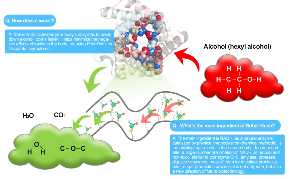 SOBER RUSH|Better Morning After Party Smart|Feel Better Cheers |Support Liver|NADH Patented Formula|Booster Break Down Toxin Hydration Products Cannot (6 Servings/Box) - hangover