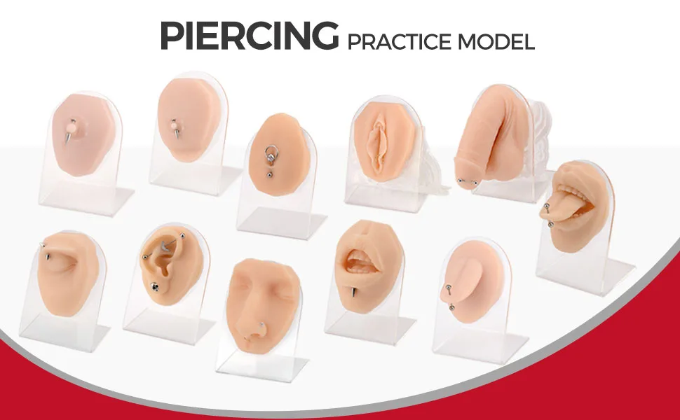 SimCoach Soft Silicone Tongue&Mouth Model with Acrylic Stand  Piercing Practice Body Parts  Imitation Mold for Jewelry Display - product information 1