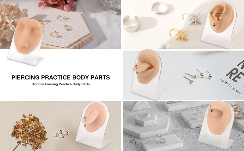 SimCoach Soft Silicone Tongue&Mouth Model with Acrylic Stand  Piercing Practice Body Parts  Imitation Mold for Jewelry Display - product information 5