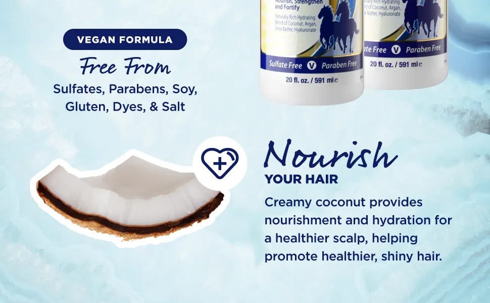 Moisture Balance Shampoo & Conditioner 20oz each Coconut Milk & Biotin - Image of Moisture Balance Shampoo & Conditioner Bottles