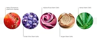 Andalou Natural  On The Go Essentials - The DEEP HYDRATION Routine  Travel Friendly  TSA- Approved  Reusable Bag (4 Pcs) - Andalou Fruit Stem Cell Science