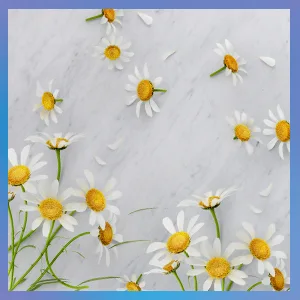 Zarbee's Gentle Bedtime Kids Sleep Spray  Chamomile & Lavender Room Spray Helps Create a Calming Atmosphere to Prepare for Sleep  2oz - Chamomile