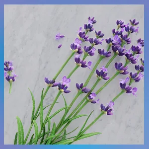 Zarbee's Gentle Bedtime Kids Sleep Spray  Chamomile & Lavender Room Spray Helps Create a Calming Atmosphere to Prepare for Sleep  2oz - Lavender