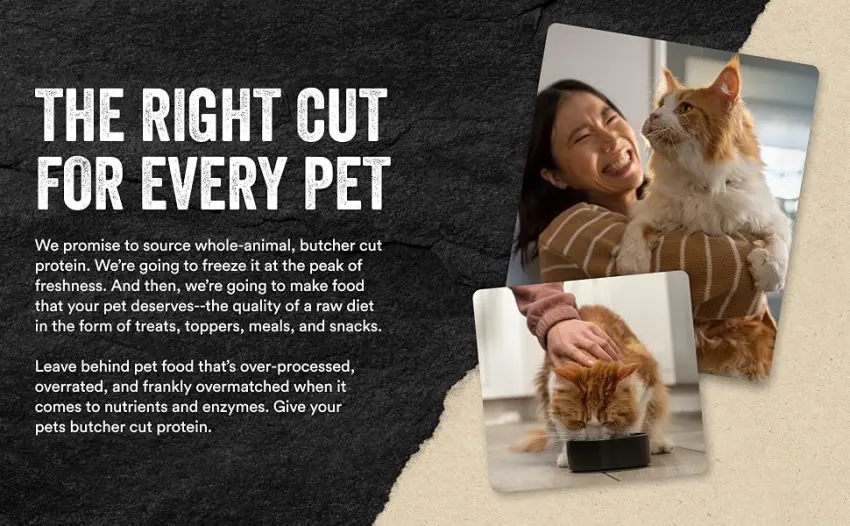 Amazon Alexa Voice Remote (3rd Gen) with TV controls, Requires compatible Fire TV device, 2021 release - The right cut for every pet. Cat food toppers for picky eaters, cate treats for small kittens.