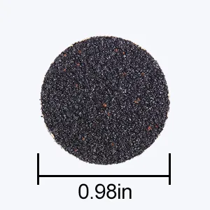 C12rtive 100pcs Replacement Sandpaper Discs & Stainless Steel Drill bit Set 180Grit Replaceable Sanding Discs Refill for 25mm Round Electric Foot File(180Grit) - product information 17