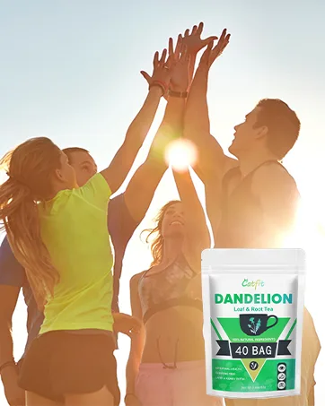 Organic Burdock Root Herbal Tea  Premium Burdock Root for Aid in Digestion & Improving Liver Health  Non-GMO  Caffeine Free  40 Tea Bags Burdock Root Tea - Dandelion tea