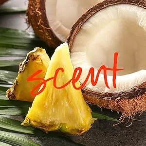 Tree Hut Coco Colada Radiant & Refresh Foaming Gel Wash  18 oz. - Tree Hut Coco Colada Foaming Gel Wash Scent