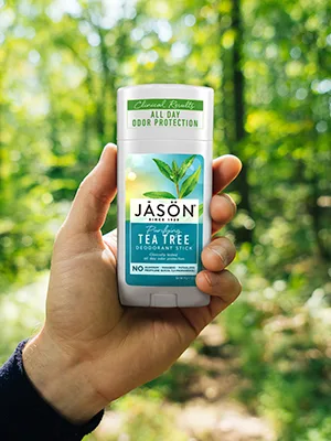 Jason Aluminum Free Deodorant Stick  Purifying Tea Tree  2.5 Oz (Pack of 1) - JASON Purifying Tea Tree Deodorant