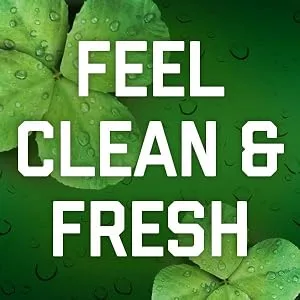 Irish Spring Bath Bar Soap  Original  3.75 Ounce  12 Count (Pack of 1) Original 12 Count (Pack of 1) Original - Feel Clean & Fresh