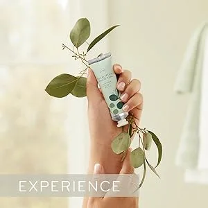 Thymes Hand Lotion - 8.25 Fl Oz - Olive Leaf Olive Leaf 8.25 Fl Oz (Pack of 1) - Experience