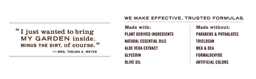 Mrs. Meyer's Hand Soap  Made with Essential Oils  Biodegradable Formula  Limited Edition Iowa Pine  12.5 fl. oz Pine 12.5 Fl Oz (Pack of 1) - product information 13