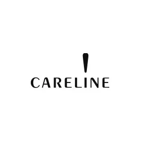 Careline Color Code Lipstick N46 Basic Nude  1 count N46 Basic Nude 1 Count (Pack of 1) - product information 1