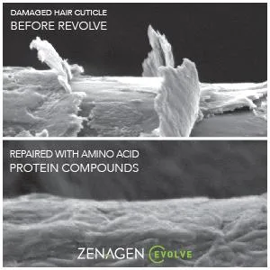 Zenagen Evolve Professional Accelerating Shampoo Treatment 6 Fl Oz (Pack of 1) - product information 4