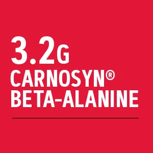 BEYOND RAW LIT | Clinically Dosed Pre-Workout Powder | Contains Caffeine  L-Citruline  and Beta-Alanine  Nitrix Oxide and Preworkout Supplement | ICY Fireworks | 30 Servings Icy Fireworks 14.01 Ounce (Pack of 1) - 3.2g carnosyn bet-alanine