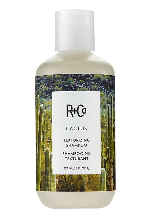 R+Co Trophy Shine + Texture Spray 6 Fl Oz (Pack of 1) - cactus texturizing shampoo