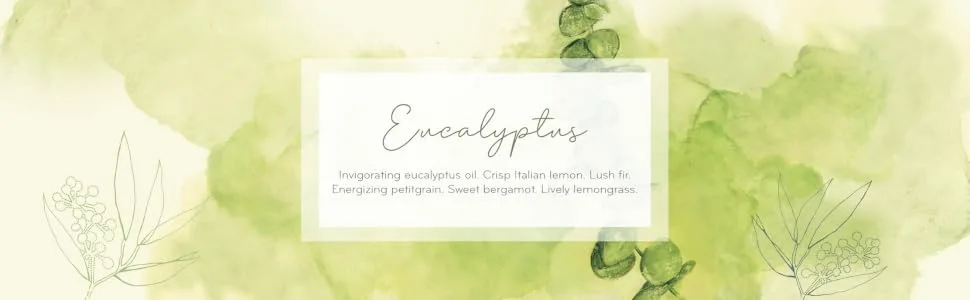 Thymes Bubble Bath - 11.5 Fl Oz - Eucalyptus Eucalyptus 11.5 Fl Oz (Pack of 1) - Eucalyptus