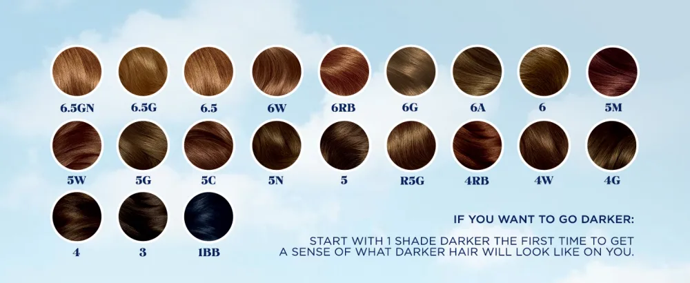 Clairol Nice'n Easy Permanent Hair Dye  5 Medium Brown Hair Color  Pack of 1 5 Medium Brown 6.26 Fl Oz (Pack of 1) - Brown