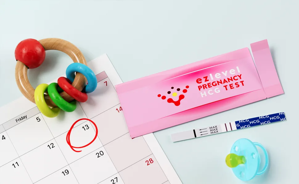 EZ Level 30 Pregnancy Test Strips (30 Count) 30 Count (Pack of 1) - Confirm pregnancy eary and quickly with EZ Level pregnancy test strips