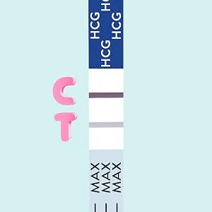 EZ Level 30 Pregnancy Test Strips (30 Count) 30 Count (Pack of 1) - Reading the results. POSITIVE: Two lines mean the test is positive and you are pregnant.