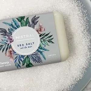 Mistral Classic Bar Soap  Lychee Rose  2 Bars Lychee Rose 2 Count (Pack of 1) - Mistral Classis Soap