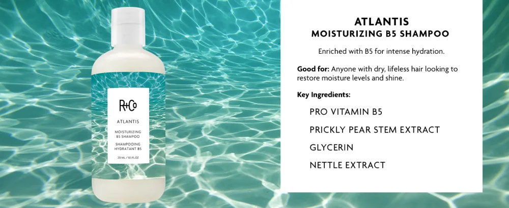 R+Co Atlantis Moisturizing B5 Shampoo 8.5 Fl Oz (Pack of 1) - Atlantis Moisturizing Shampoo, B5 Shampoo for Moisture, Hair Hydration, Shampoo for Dry Hair