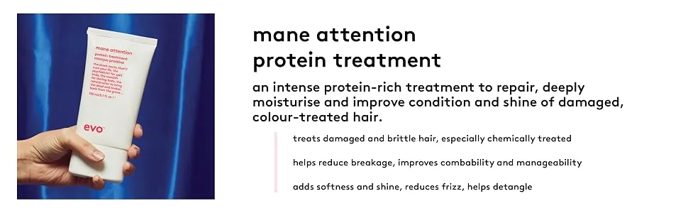 evo Mane Attention Protein Hair Treatment - Moisturize  Repairs & Strengthens Hair 1.1 Fl Oz (Pack of 1) - mane attention