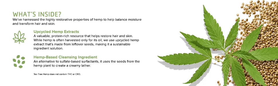 Tea Tree Hemp Restoring Shampoo & Body Wash  2-in-1 Cleanser  For All Hair Types 33.8 Fl Oz (Pack of 1) - tea-tree-hemp-amazon-A+-dec21-tpg-whats-inside